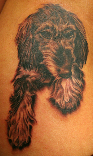 Tattoos - Fine Line tattoos - Dog Portrait